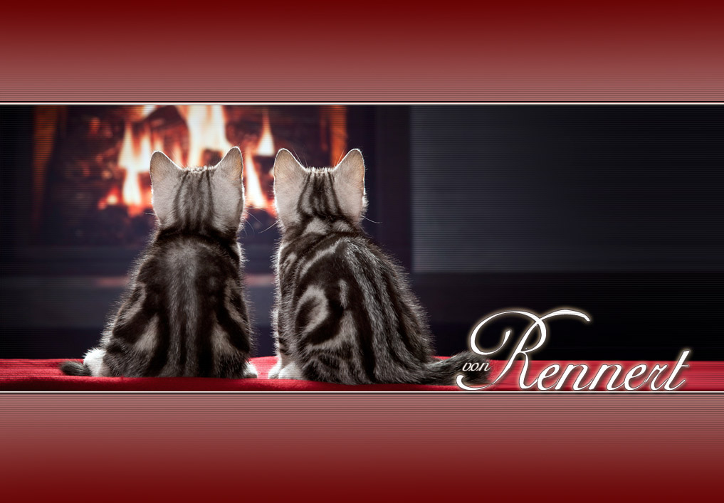 Hereinspaziert und Willkommen bei den BKH von Rennert!